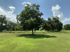 Other Subdivision in Johnson Co - Residential