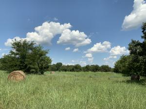 Other Subdivision in Johnson Co - Residential