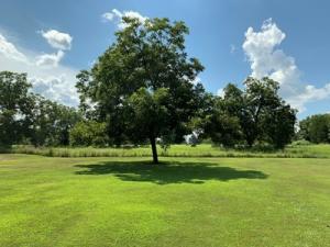 Other Subdivision in Johnson Co - Residential