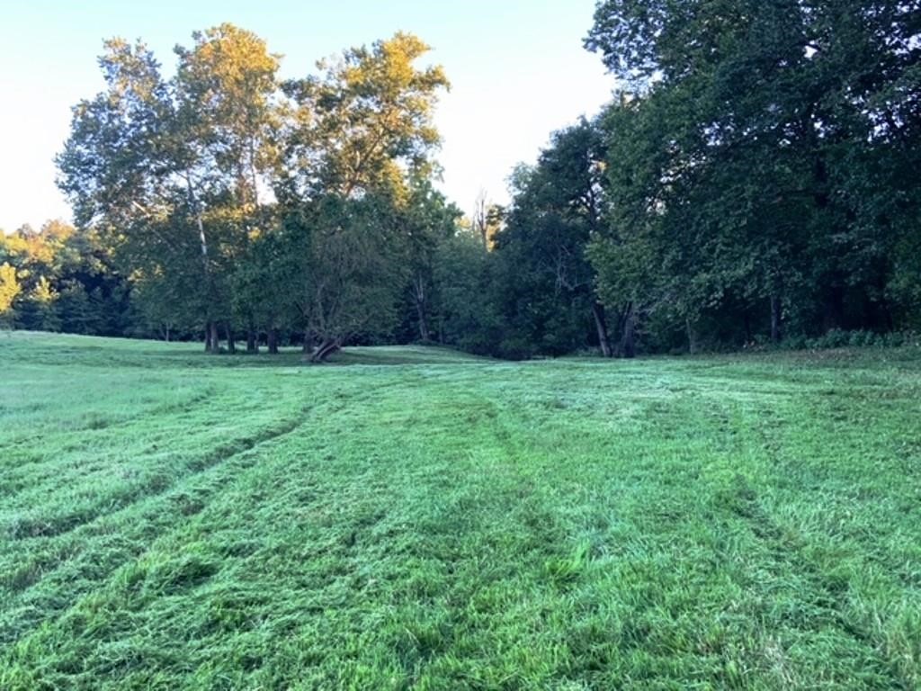 Great Location, beautiful land, close to Siloam Springs. 91 +- acres just east of Siloam Springs.
Located on pavement, perfect place for a new home, nice hay meadow also could be used for recreational 
purposes. Property is gently rolling, partially wooded and has a small spring. Seller is providing a new survey.