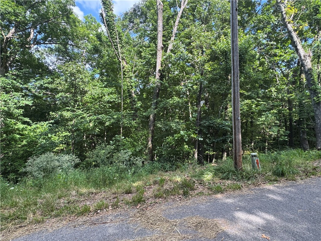 This wooded Bella Vista lot offers a peaceful setting with mature trees and natural privacy. The property features a moderate and fairly consistent slope, providing a potentially favorable layout for a custom home design. The rectangular shape offers a more usable building footprint. Located on a quiet street, this lot offers a great opportunity for buyers seeking a private homesite with convenient road access and strong building potential.