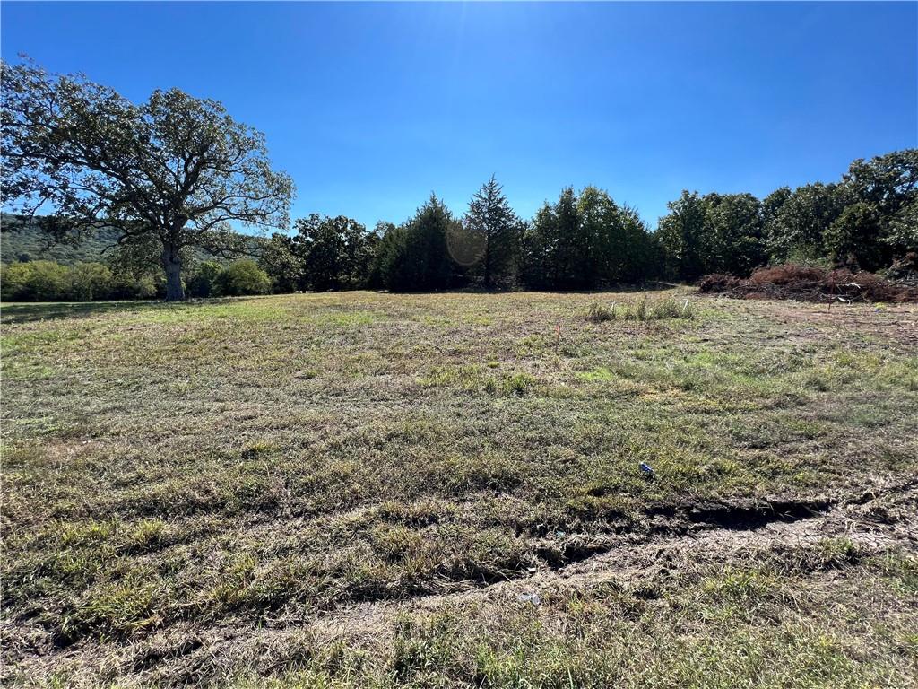 Opportunities like this don't come around often! This stunning 1.10-acre lot along Highway 170 in Farmington is already cleared and features a beautiful on-site pond — a rare combination that sets this property apart. With public water and sewer already on site, electric available, and gas at the street, the heavy lifting is done for you. The level, open terrain makes building a breeze, and paved road frontage ensures easy access year-round. No covenants means the freedom to build the custom home you've always envisioned. Located in the Prairie Grove School District, just 1.5 miles south of Farmington High School, this lot offers the perfect blend of peaceful country feel with convenient access to everything Northwest Arkansas has to offer.  Don't wait — lots like this go fast!