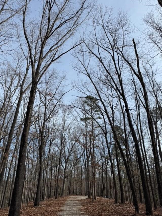 Southern Hills #Iv - Land