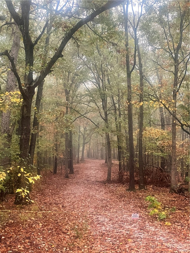 Southern Hills #Iv - Land