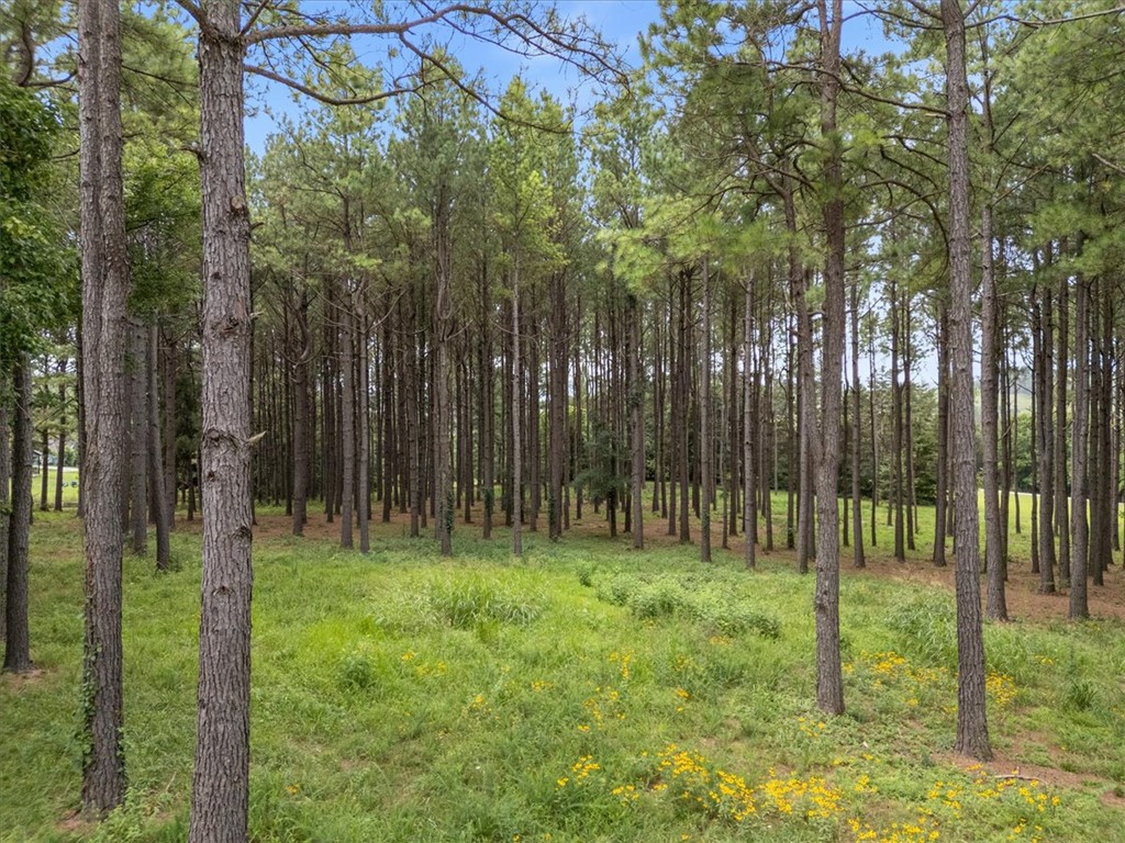 Revised Hidden Pines - Land