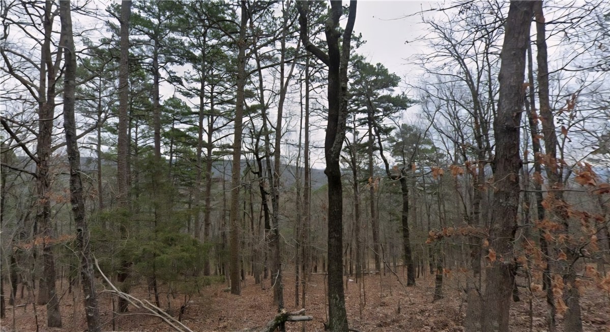 Fairfield Bay is calling you to build your home on this spacious .60 (+/-) acre lot! You will love being close to Greers Ferry Lake, marinas, Mountain Ranch Golf Club, tennis courts and all the local amenities. Mobile homes are not allowed. Owner financing available. Call or text today for more information!