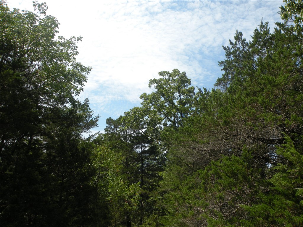 Unit 5 Holiday Island - Land
