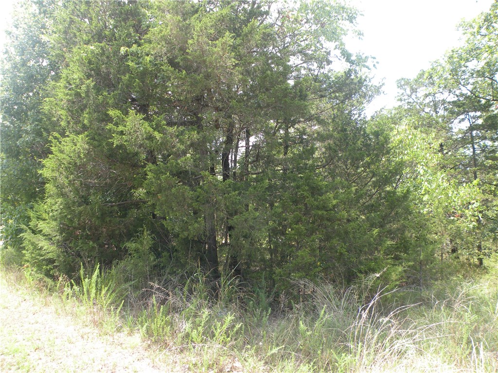 Unit 5 Holiday Island - Land