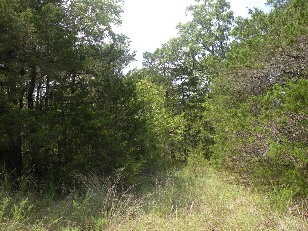 Unit 5 Holiday Island - Land