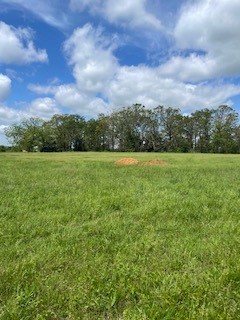Check's Corner - Land