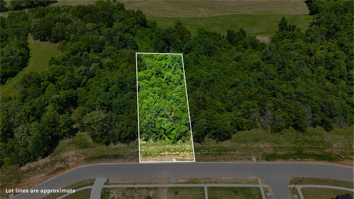 Lot 63 in Blackberry Ridge offers 1.12 acres in a scenic Fayetteville community surrounded by natural beauty. This homesite provides a great opportunity to build in an established neighborhood while still being close to everyday conveniences. Blackberry Ridge is located just minutes from I-49, with easy access to shopping, dining, schools, and more. The community also features a neighborhood pool, pavilion, and soft walking trails.