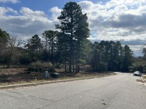 Bent Tree - Land