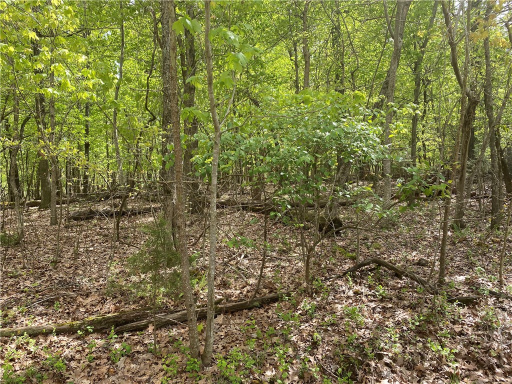 Country living with the conveniences of city life. Clear the perfect spot to build your dream home on 5 wooded acres nestled in west Fayetteville.  Bring your goats and chickens too. **Drone photos coming soon**