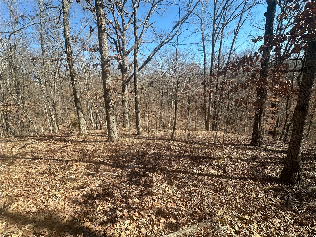 Nestled within the picturesque landscape, this enchanting .34-acre wooded lot offers a serene retreat in Bella Vista. Situated in a quiet neighborhood, this parcel boasts a gentle slope from front to back, presenting an ideal canvas for your dream home.
The wooded surroundings create a sense of privacy and seclusion, inviting you to unwind in tranquility while still being conveniently located near major thoroughfares.
Strategically positioned near Highway 340 and Highway 71, this lot ensures effortless access to nearby amenities. The convenience of these nearby routes enhances the allure of this coveted location.
In addition to its natural beauty and convenient location, this wooded lot is close to both I49 and Little Sugar mountain bike trails including "Tunnel Vision and Bamboozled". Whether you’re seeking a peaceful retreat, a place to build your forever home, or an investment in the burgeoning Bella Vista community, this property embodies the essence of idyllic living.