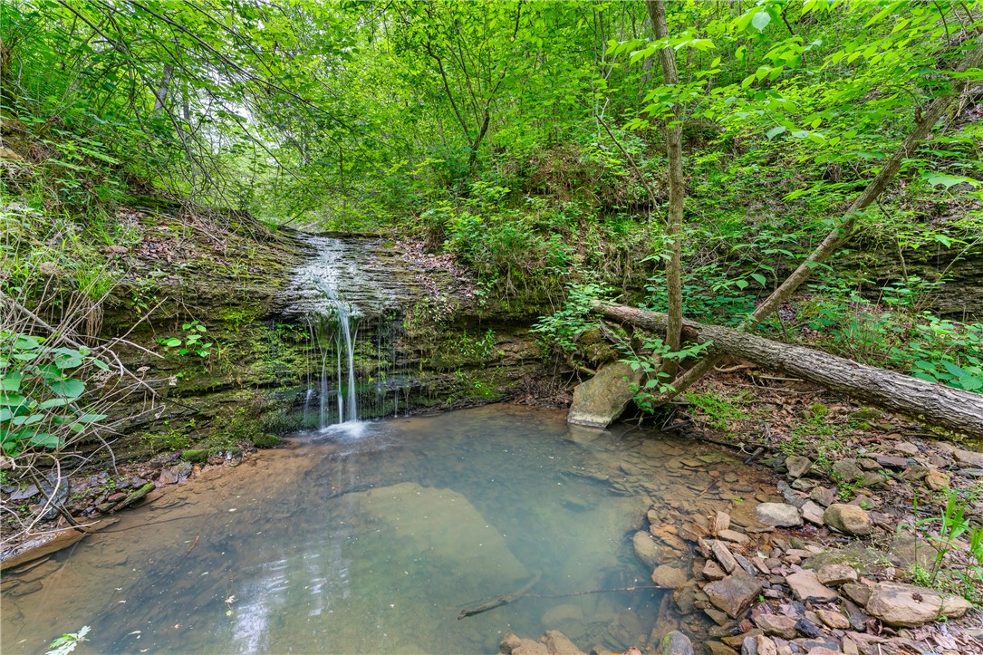 Escape to the natural beauty of Wesley with this rare 29+ acre property offering privacy, adventure, and endless potential. Tucked away in a peaceful setting, the land features a stunning creekside pool and a picturesque waterfall—creating a truly one-of-a-kind retreat right in your own backyard. A 2-acre clearing provides the perfect space for building your dream home, starting a homestead, or simply enjoying wide-open space surrounded by nature. A small cabin on the property offers a livable setup, ideal for weekend stays, hunting trips, or a temporary residence while you bring your vision to life. With abundant acreage, scenic features, and room to grow, this property is a unique opportunity for those seeking tranquility, recreation, or a private getaway in Wesley.