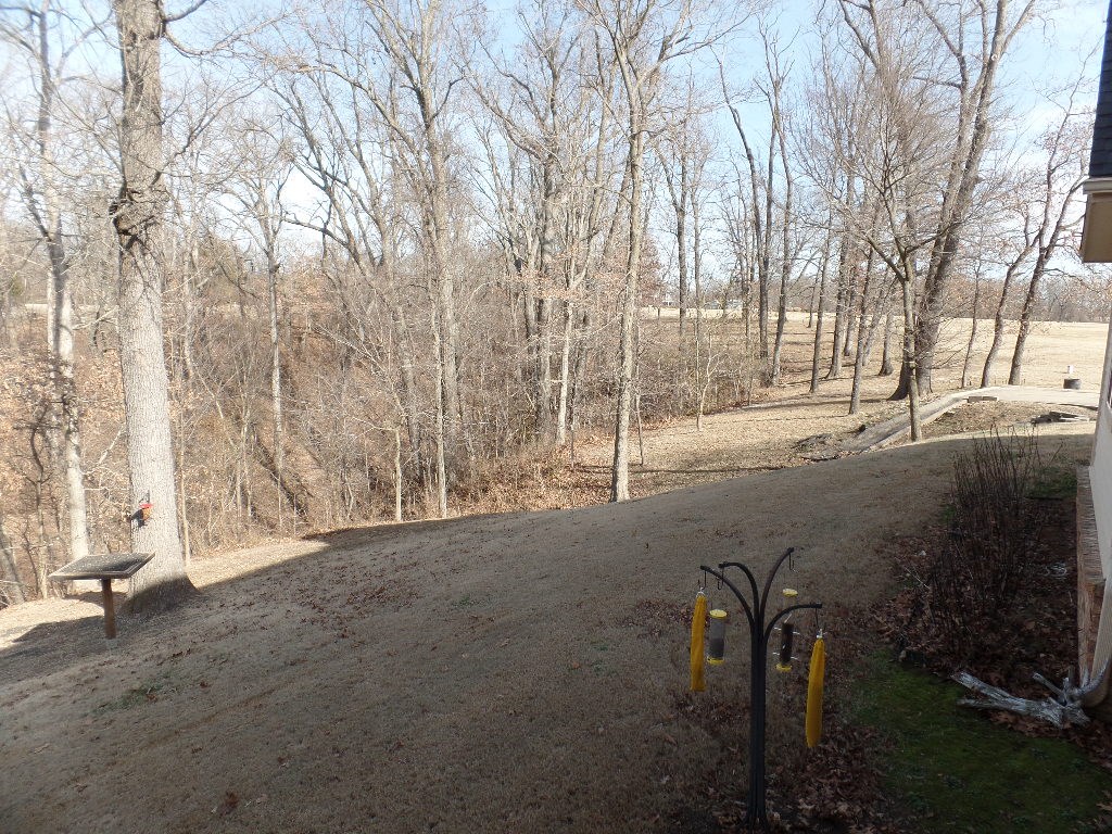 River Ridge - Residential