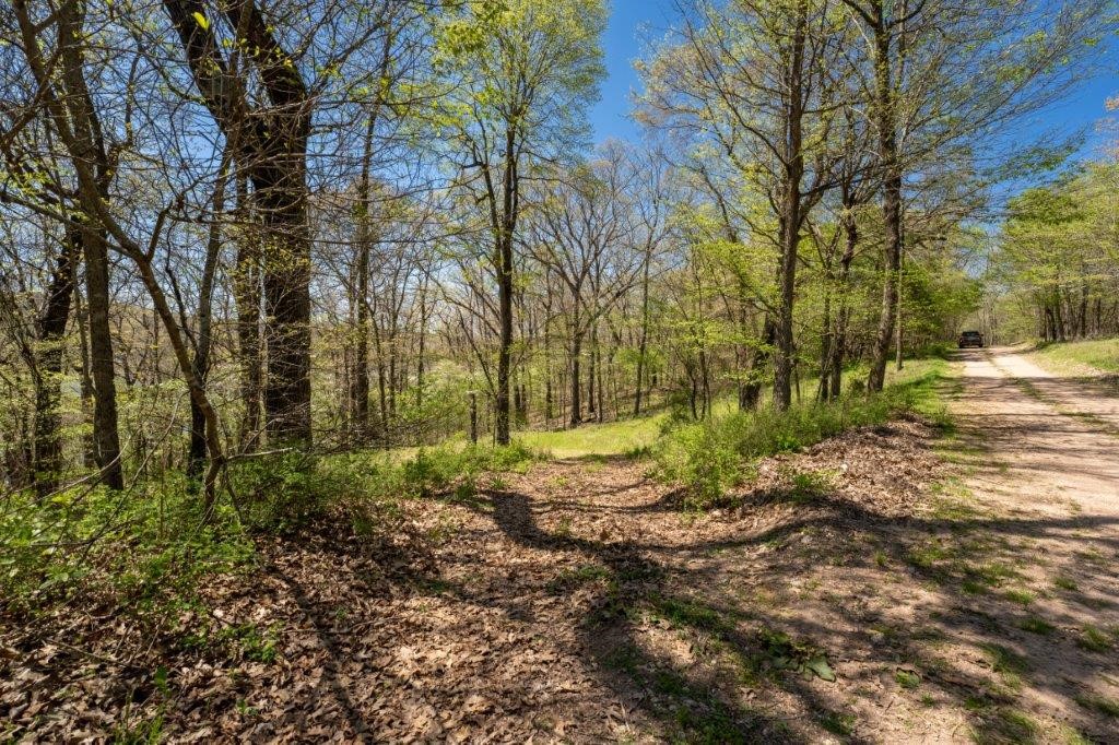 Horseshoe Bend Estate Rurban - Land