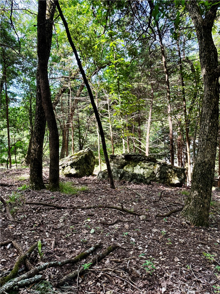 Tucked away in the peaceful area of Lost Bridge Village, this lot is the perfect place to build your lake home or getaway where you can reconnect with nature. Lake views, towering trees, water falls after a rain, and unique rock formations greet you as you meander from Garfield to Pine Dr. Boat ramps are just minutes away from the property for your enjoyment of the beautiful waters of Beaver Lake. A community pool, courts, recreation complex, and airstrip make this lake community unique. Best of all; water, sewer, and electric are at the street simplifying the building process.