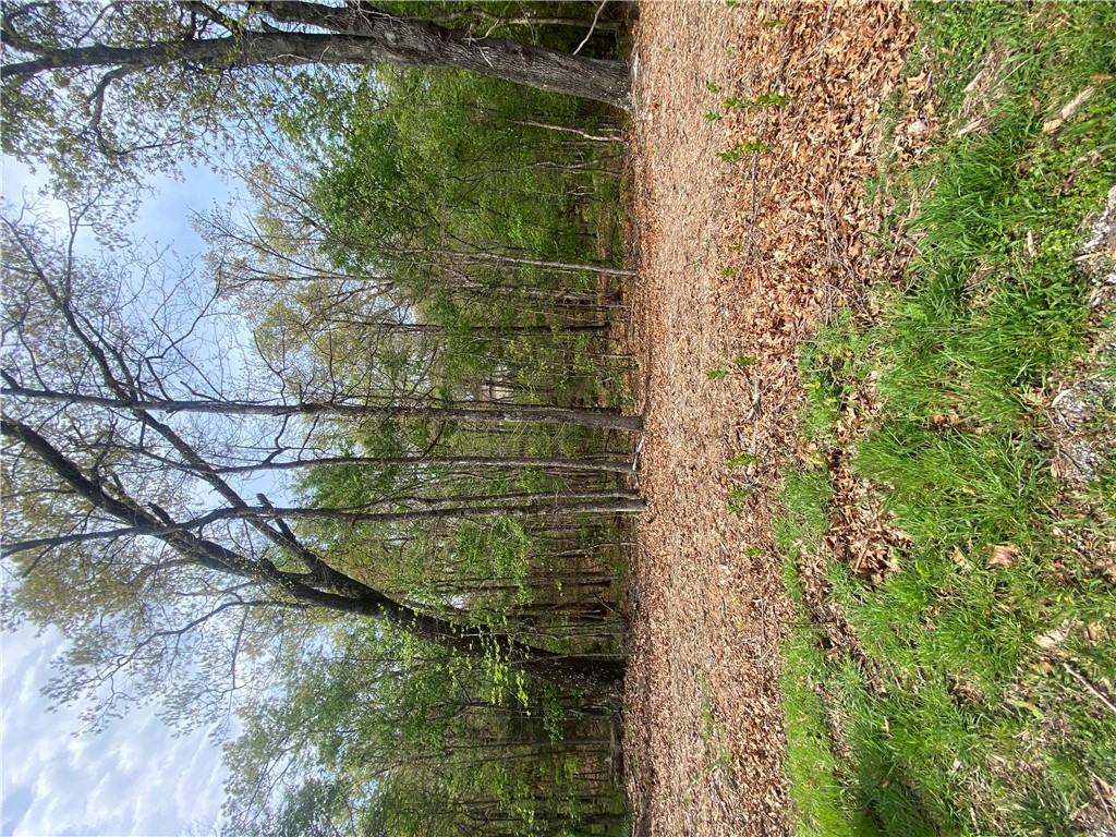 Buildable lot with beautiful, wooded surroundings.  Perfect for a custom home or investment opportunity. Enjoy privacy and nature while being just 5 minutes from downtown.