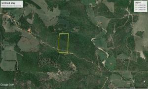 Good Wooded Tract for hunting or recreation. Near the Buffalo River. App. one mile off highway 123 South on Newton Co. 4200.