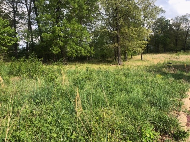 Beautiful lot located in The Bluffs subdivision just 3.7 miles NW of the Bentonville Square. This lot is just under an acre, has several mature trees, and is one of the last flat lots in the subdivision. Enjoy biking at the Coler Mountain Bike Preserve only a 1/2 mile from your front door and easy access to numerous other paved and dirt trails. A great community and location for building your dream home!