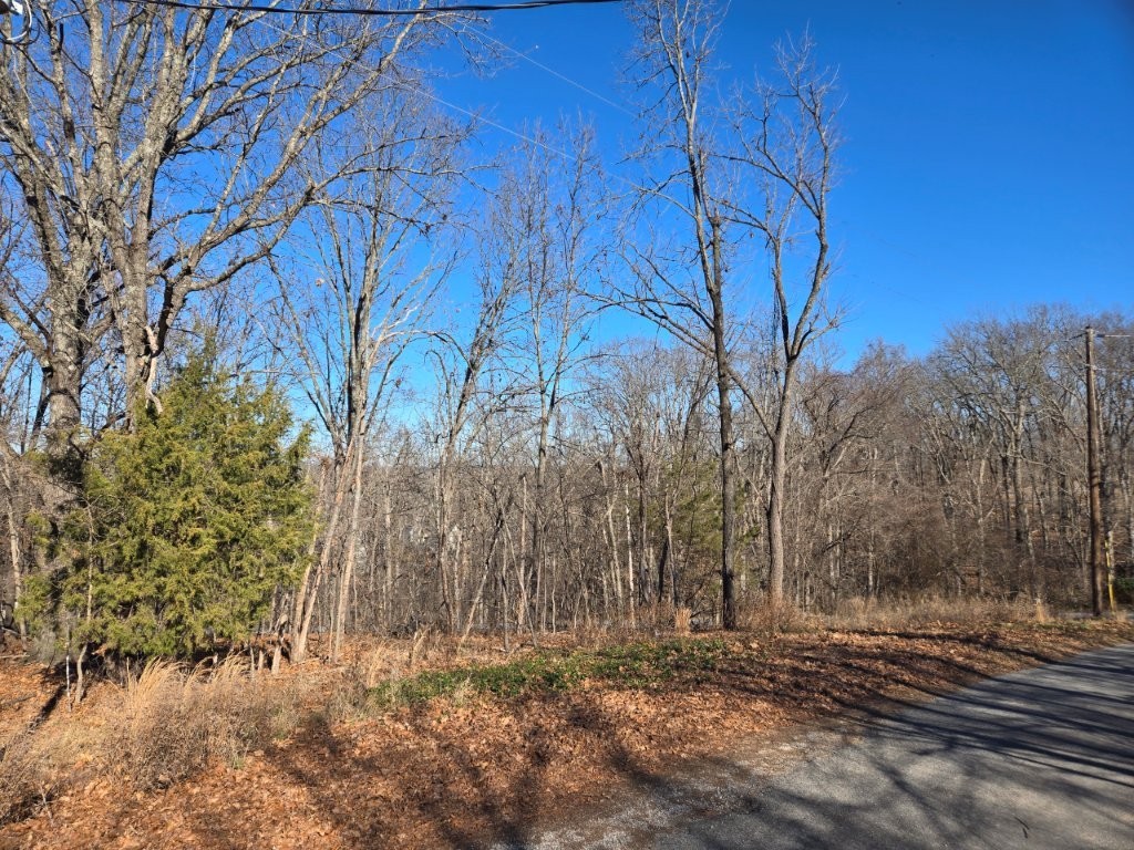 This lot rests on the corner of Pimlico Dr and Rotham Ln. It offers peaceful natural surroundings with modern community amenities. Just minutes away from Lake Windsor and Tunnel Vision Trailhead. This lot is a great opportunity to build your next home and indulge in all that Bella Vista has to offer!