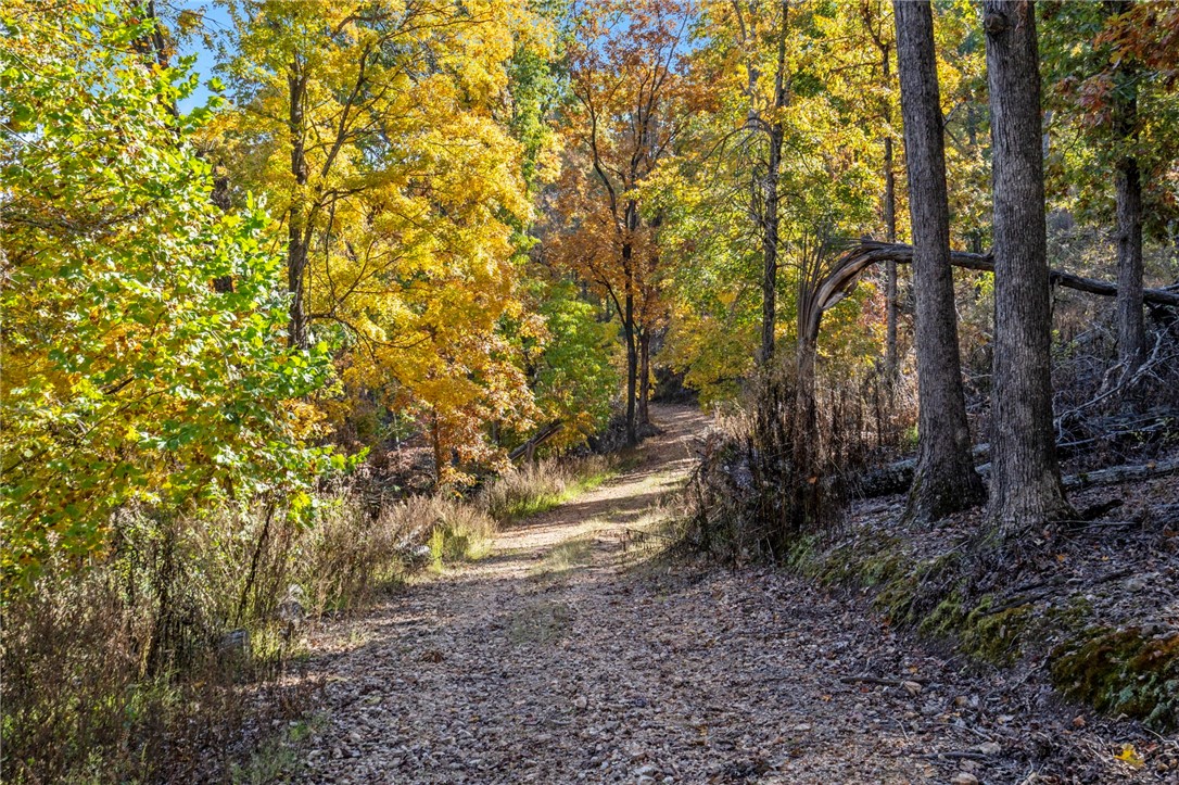 Beavers Cove - Land