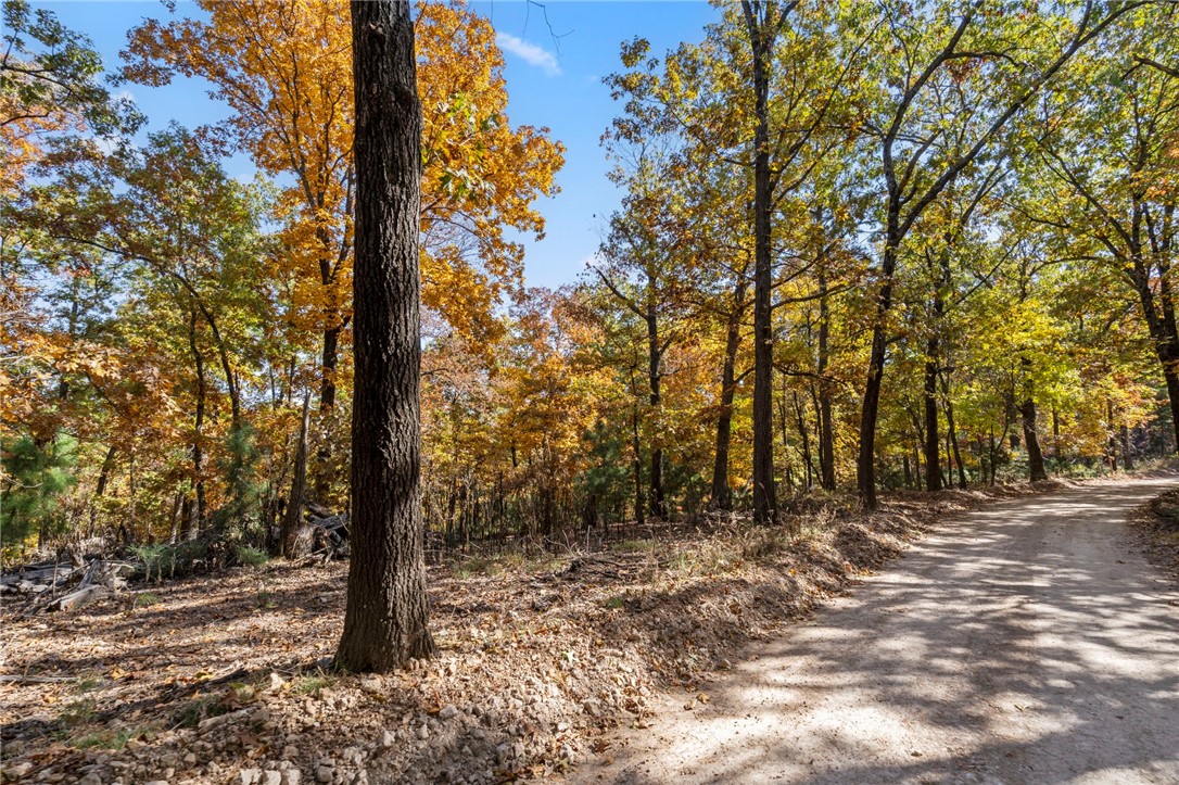 Beavers Cove - Land