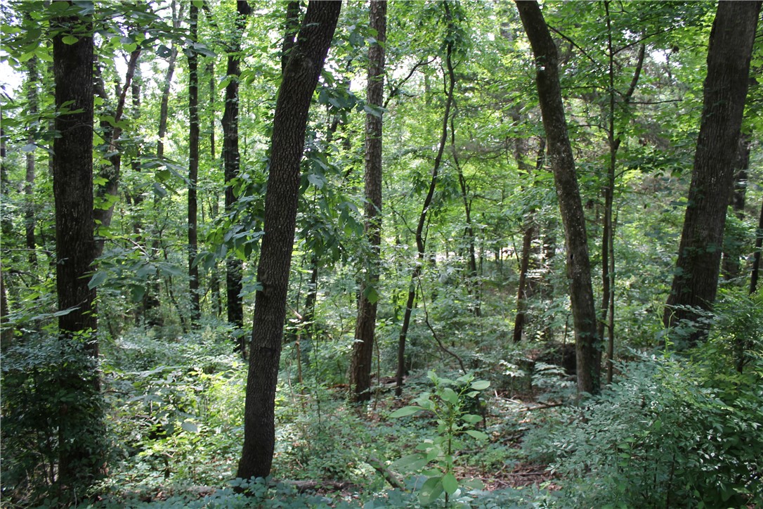 Craigwood Acres - Land