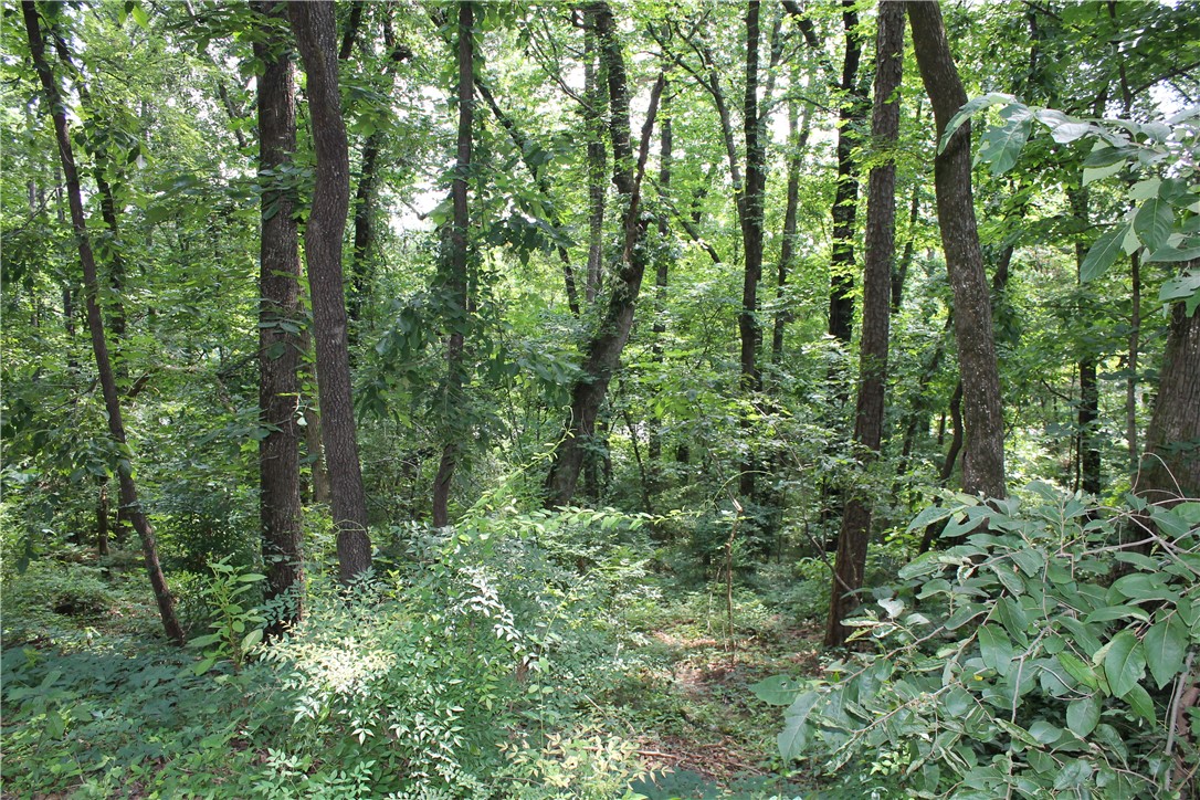 Craigwood Acres - Land