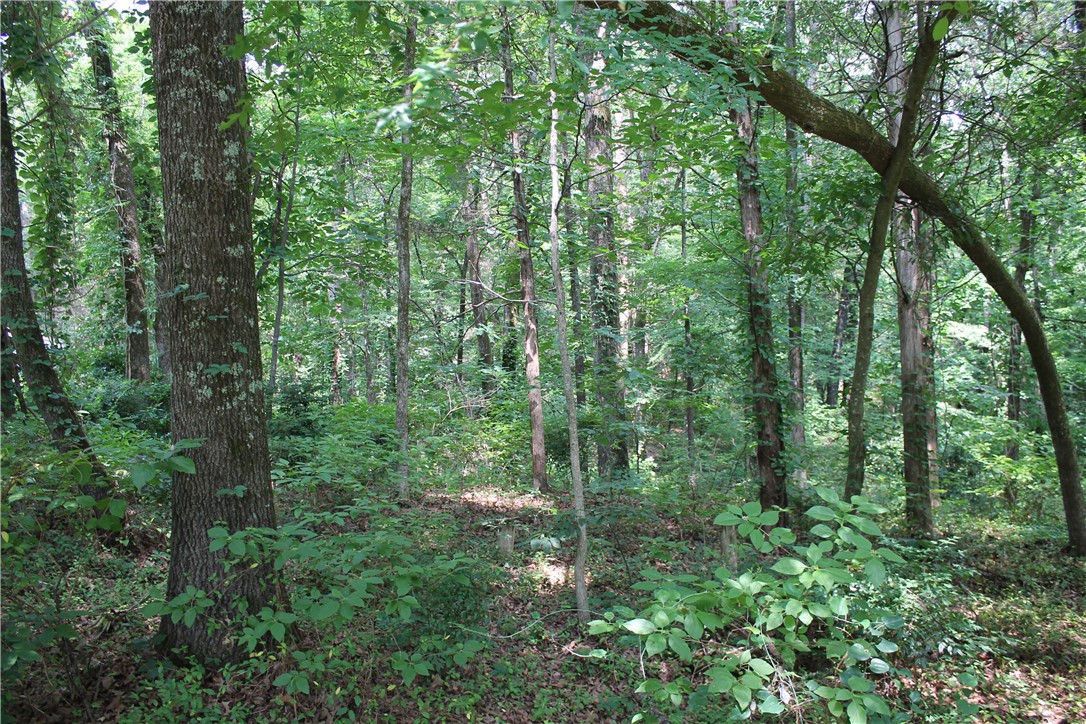 Craigwood Acres - Land