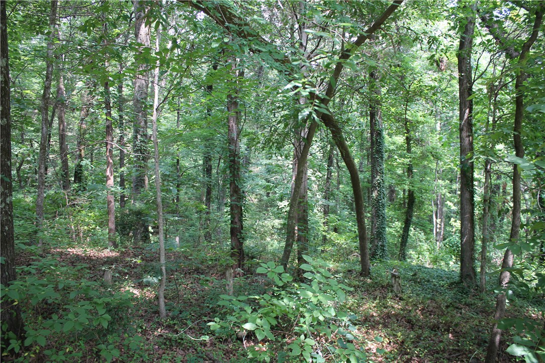 Craigwood Acres - Land