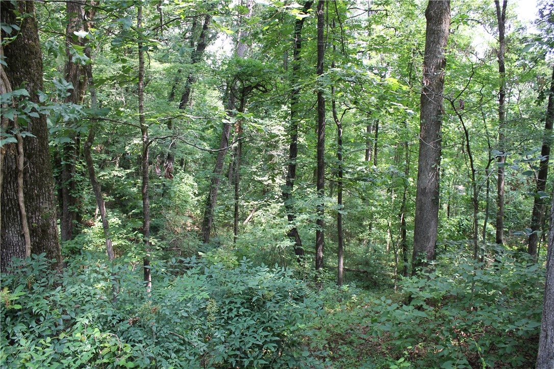 Craigwood Acres - Land