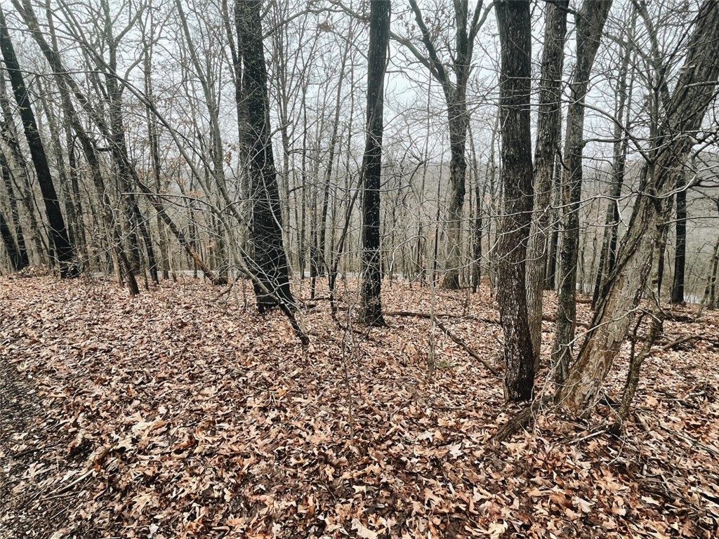 Gently sloping .32 acre lot in south Bella Vista close to downtown Bentonville and Coler Mountain Bike Preserve. Perc test already done and lot percs for a 3 bedroom home! Perfect buildable lot close to all the Bella Vista and Bentonville action!