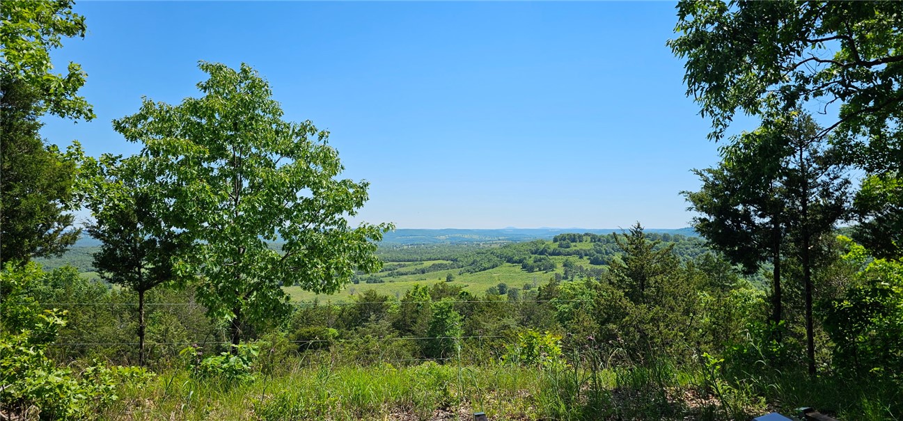 Escape to your own 89.59-acre Ozark retreat! This unique property features two combined parcels offering exceptional, picturesque views in every direction. Perfectly situated for both adventure and convenience, you are just 25 minutesfrom the world-class entertainment and shopping of Branson, MO. You’re also less than 20 minutes from the amenities of Harrison, AR, and the pristine waters of both Table Rock and Bull Shoals Lake. Located in a top-tier school district with incredibly low estimated annual taxes of approximately $107, this is a rare opportunity to own a massive slice of Ozark paradise.