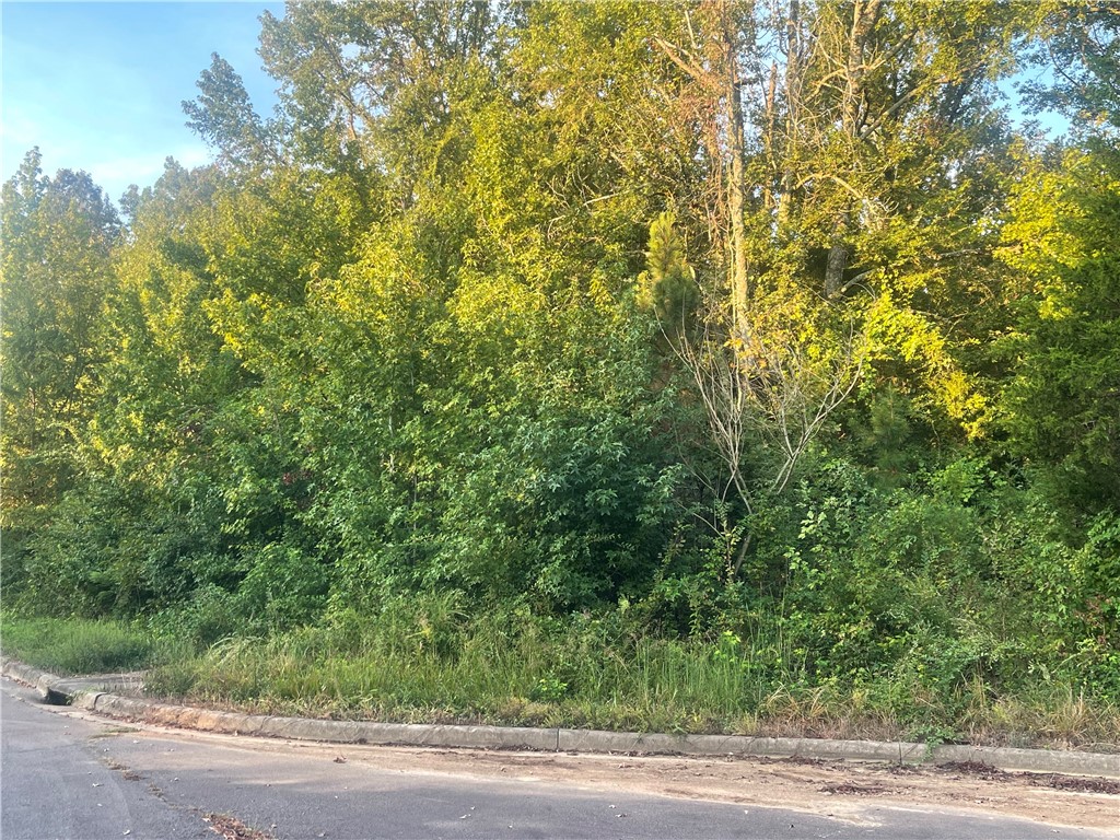 CADDO SPRINGS PHASE II - Land