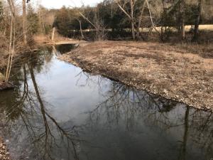 Pretty 1.86 acre building lot on year round creek! Located only 5 miles to Bull Shoals Lake. This property is a mix of woods and pasture and has electric. Only 3 miles to town, this wooded building site overlooking your own creek,  has already been surveyed and fenced! Priced at only $17,500!