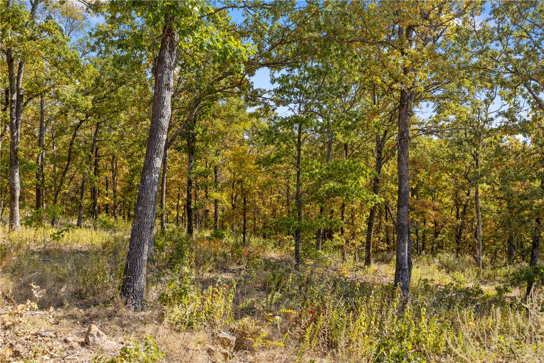 Round Mountain Estates - Land