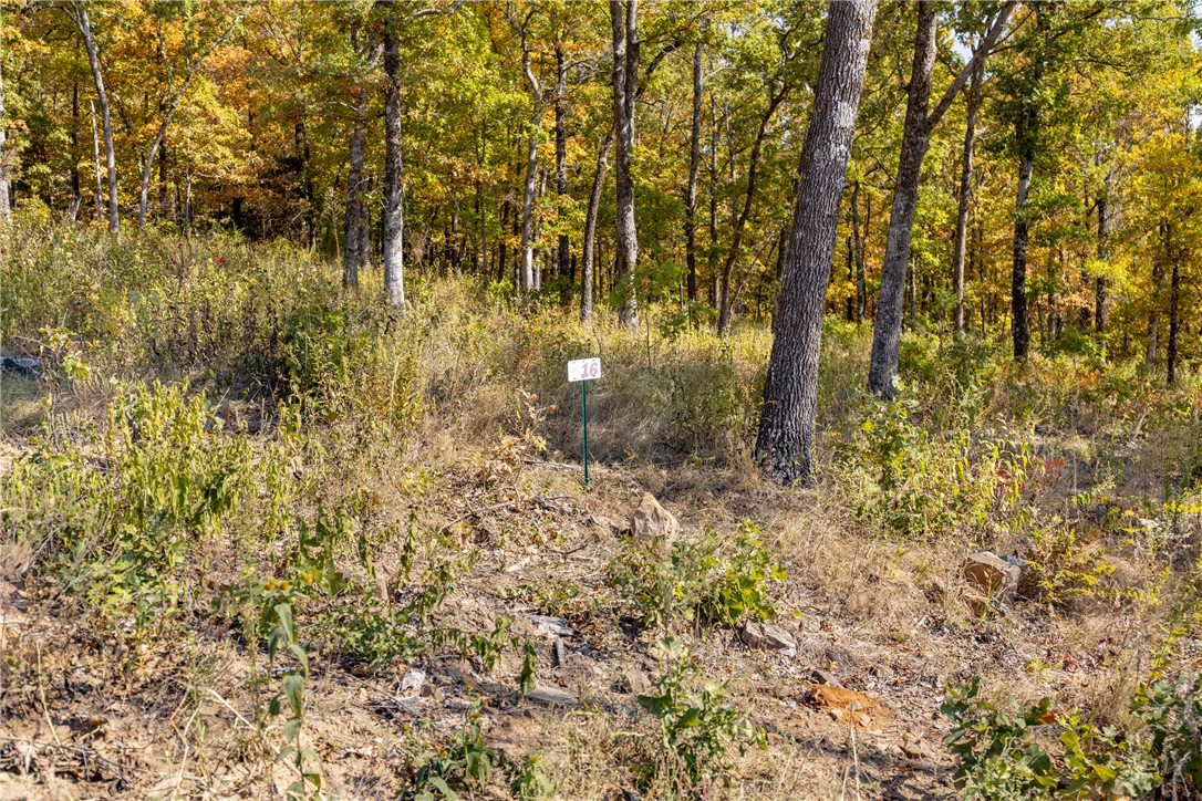 Round Mountain Estates - Land