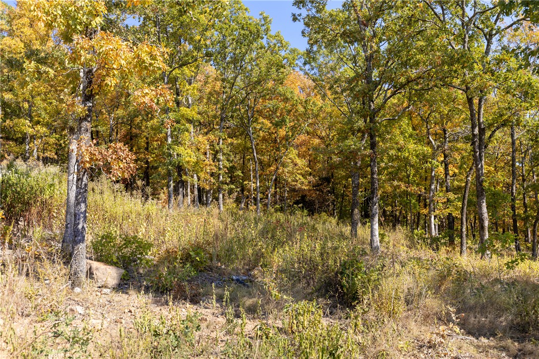 Round Mountain Estates - Land