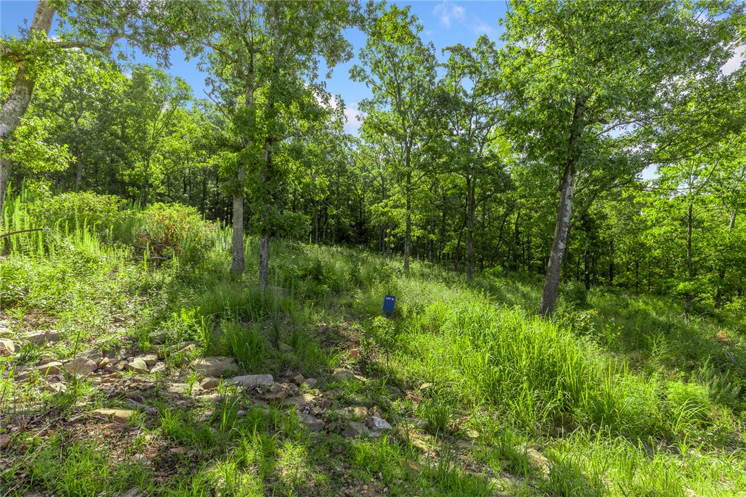 Round Mountain Estates - Land