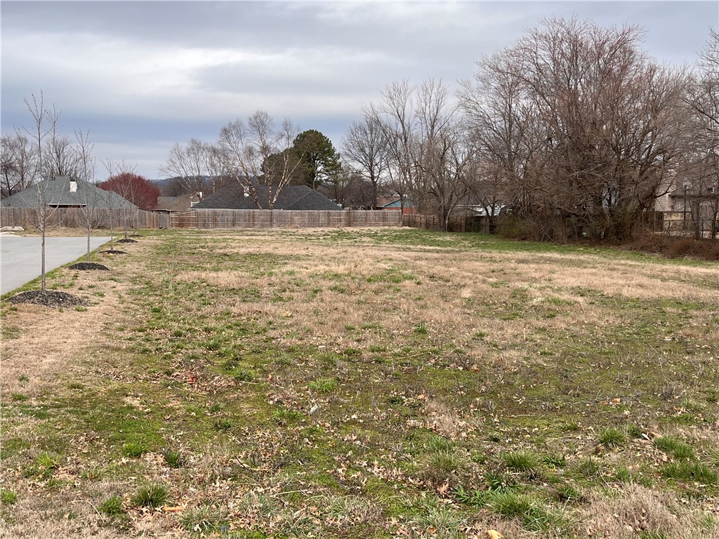 Springdale Outlots - Commercial Sale