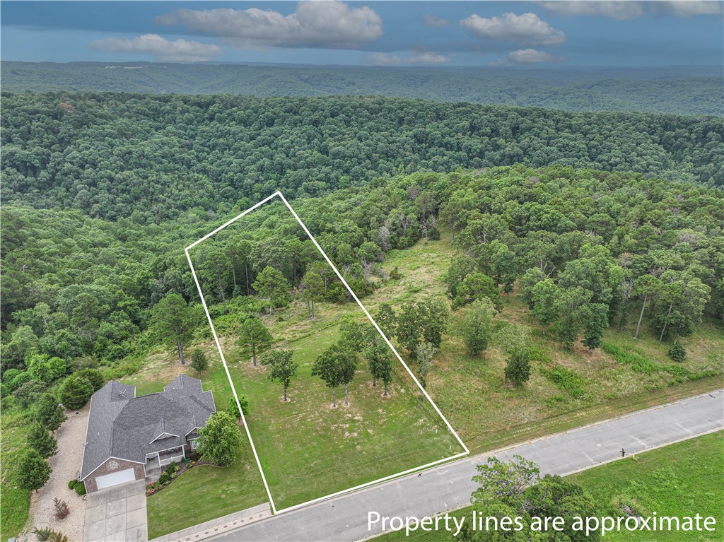 What a fabulous view !!  This .67 acre lot is perfect for your Ozark dream home with water, sewer and electricity at the street.  Within minutes of the amenities-shopping, banking, restaurants, convenience store, post office and more!  You must visit this lot to appreciate all it offers.