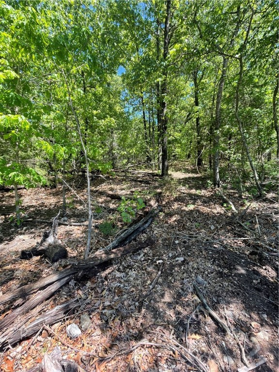 Craft your dream home on this stunning level Bella Vista lot. Spanning .34 acres, this parcel offers prime location, panoramic views, and endless possibilities. Lot has already been perc tested and is ready for a 3-bedroom home. Enjoy Bella Vista's exclusive amenities and start living your dream today. 

The superior location puts you close to Scotsdale Golf Course and Lake Loch Lomond. 

Schedule a viewing now!