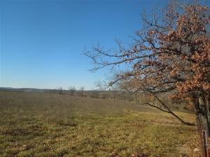 Cardinal Hills - Residential
