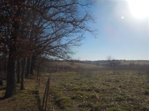 Cardinal Hills - Residential
