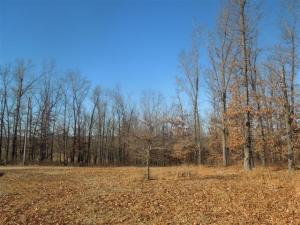 Cardinal Hills - Residential
