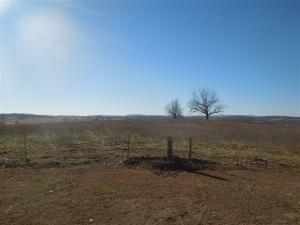 Cardinal Hills - Residential