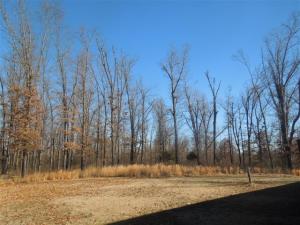 Cardinal Hills - Residential