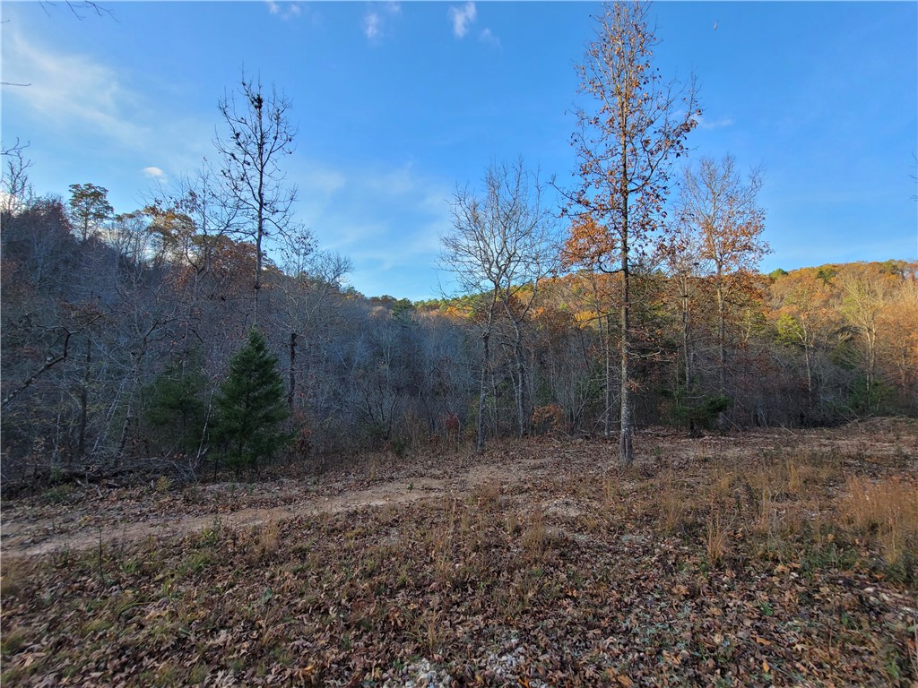 18+/- UNRESTRICTED ACRES BORDERING NATIONAL FOREST & BUFFALO RIVER PARK
Discover the ultimate Ozark retreat south of Yellville. This rare 18-acre m/l gem offers a direct border the National Buffalo River Park land, giving you a permanent backyard of thousands of protected acres. With NO deed restrictions, the possibilities are truly unlimited.
Property Highlights:
Build-Ready: build site, electric close.
Hunter’s Dream: Logged ~12 years ago, the land has developed into a prime wildlife habitat with thick cover and abundant deer and turkey.
Income Potential: A premier location for an Airbnb cabin, tiny home, or private campground near the Buffalo River.
Freedom: No HOA or restrictions—perfect for off-grid living, a seasonal camp, or a custom estate.
Whether you are looking for a secluded homestead or a high-yield investment near America’s first National River, this property delivers. Don't miss your chance to own a piece of the Natural State!